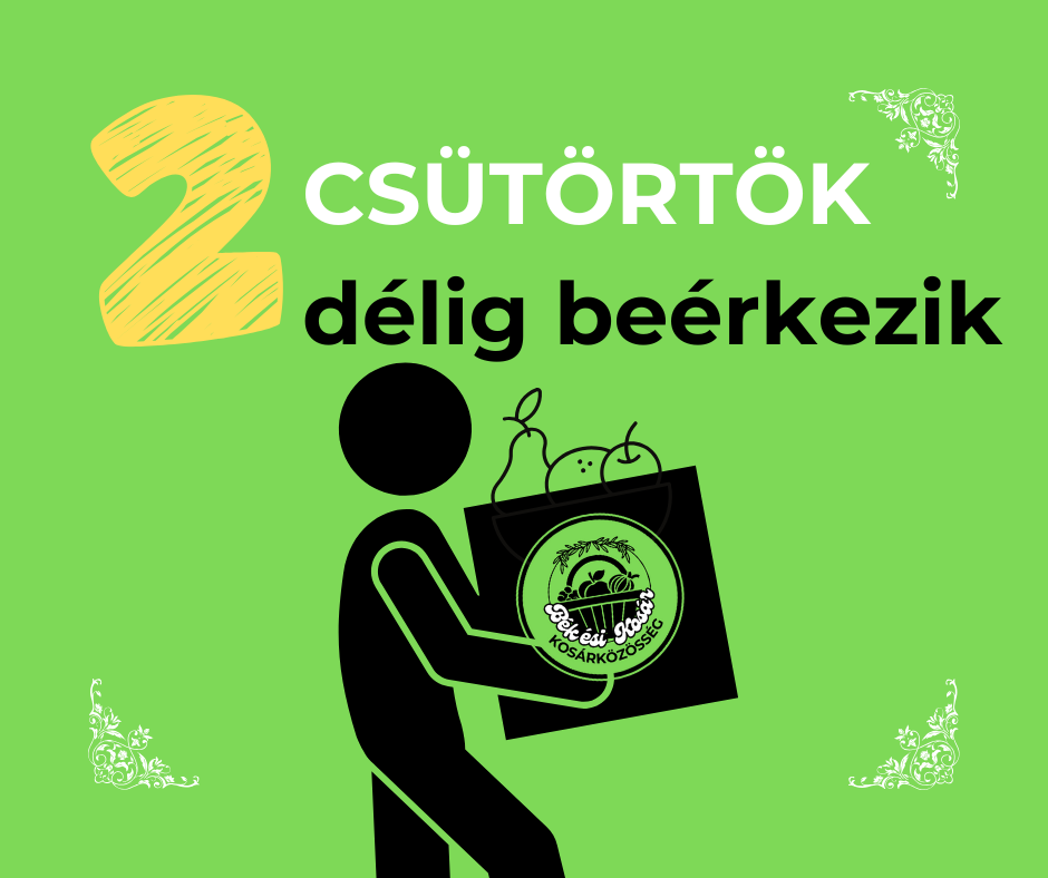 CSÜTÖRTÖK délig beérkezik